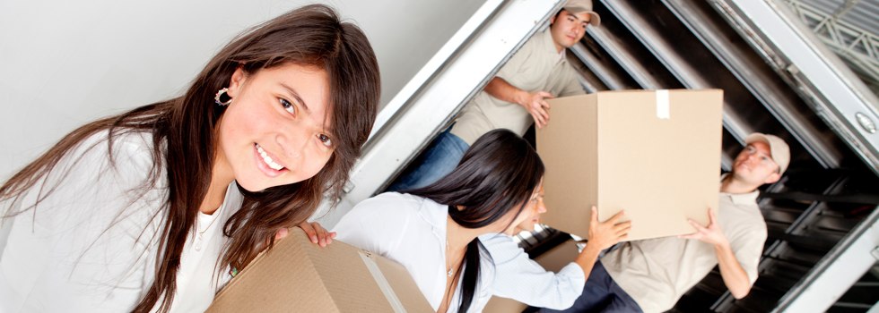 Professional Removalists Blue Vale
